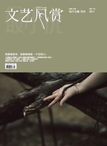 【杂志】文艺风赏 2013-02（伤口）