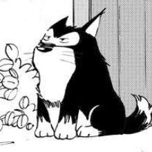 小飞侠（漫画版）