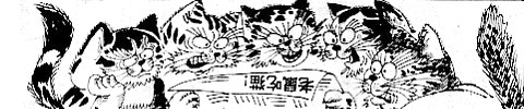 【漫画】老鼠吃猫