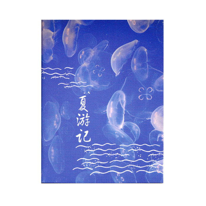【周边】文艺风象杂志：赠品 2017-06 夏游记 微型 笔记本