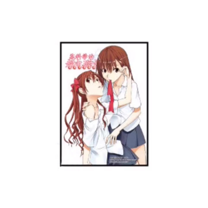 【周边】某科学的超电磁炮（简体中文版）包装&赠品 第3册赠品 明信片 明信片