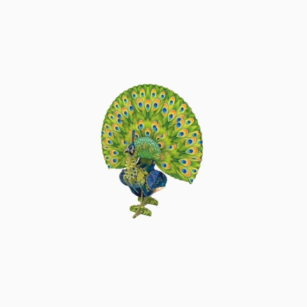 【周边】中国国家地理 × 梦巴格 为自然发声·动物系列：拼插模型 绿孔雀 纸模