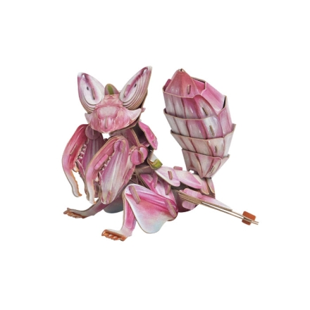 【周边】中国国家地理 × 梦巴格 雨林小怪系列：立体拼插纸模 兰花螳螂 纸模