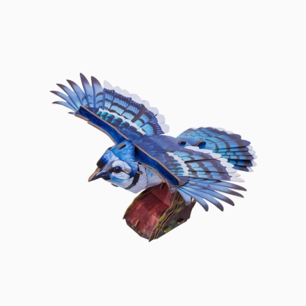 【周边】中国国家地理 × 梦巴格 飞鸟集系列：立体拼插纸模 冠蓝鸦 纸模