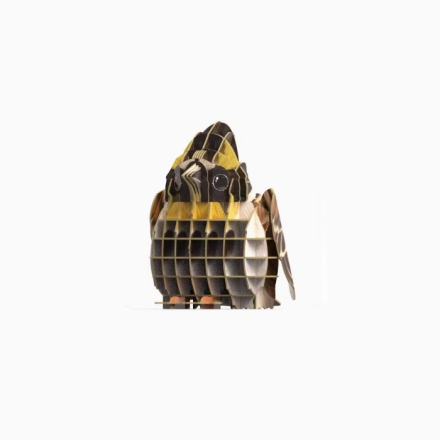 【周边】中国国家地理 × 梦巴格 为自然发声·飞鸟系列1：拼插模型 黄喉鹀 拼插