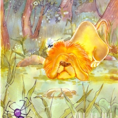 31