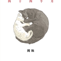 【独立漫画】野猫调查报告·四十四个月