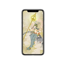 【周边】胖脸吉祥 · 大飞天系列：手机壁纸 御豹飞天 手机壁纸
