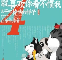【图书】就喜欢你看不惯我又干不掉我的样子 04
