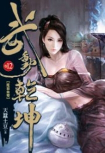 【图书】武动乾坤 12（小说·台湾繁体中文版）