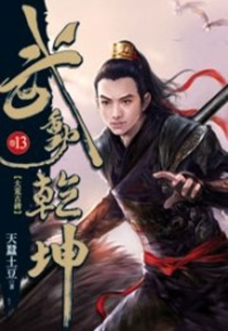 【图书】武动乾坤 13（小说·台湾繁体中文版）