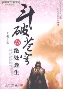 【图书】斗破苍穹 13（小说·湖北少儿·2010版）