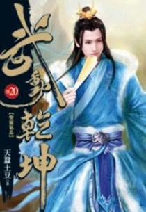 【图书】武动乾坤 20（小说·台湾繁体中文版）
