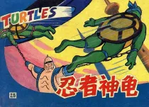 【图书】忍者神龟 25
