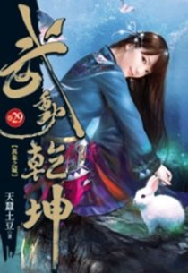 【图书】武动乾坤 29（小说·台湾繁体中文版）