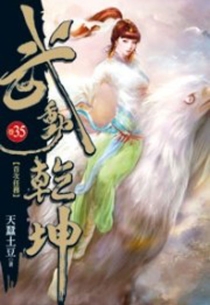 【图书】武动乾坤 35（小说·台湾繁体中文版）