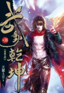 【图书】武动乾坤 38（小说·台湾繁体中文版）
