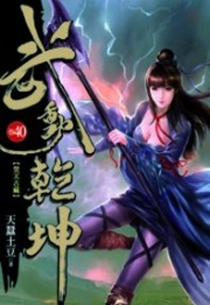 【图书】武动乾坤 40（小说·台湾繁体中文版）