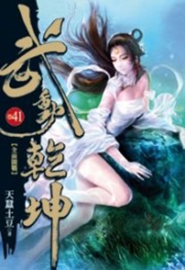 【图书】武动乾坤 41（小说·台湾繁体中文版）