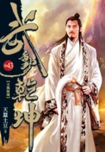 【图书】武动乾坤 43（小说·台湾繁体中文版）