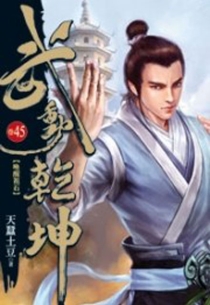 【图书】武动乾坤 45（小说·台湾繁体中文版）