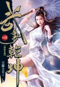 【图书】武动乾坤 48（小说·台湾繁体中文版）