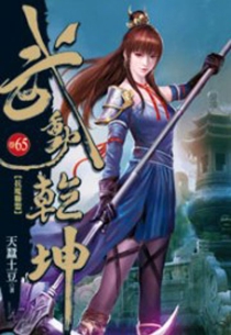 【图书】武动乾坤 65（小说·台湾繁体中文版）