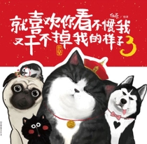 【图书】就喜欢你看不惯我又干不掉我的样子 03