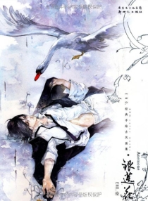 【图书】银莲花
