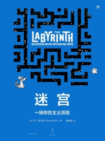 【图书】迷宫（简体中文版）