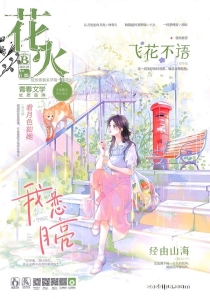 【杂志】花火 2024-06b