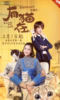 【剧集】有猫在