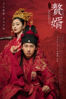 【剧集】赘婿