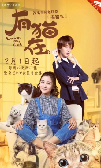 【剧集】有猫在